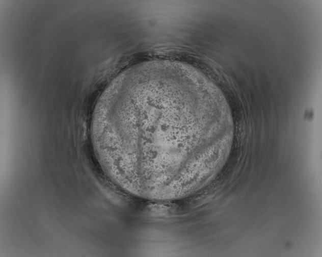 X0000091920703200709261642