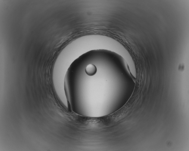 X0000091920704200709261642