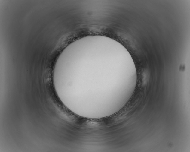 X0000091920706200709261642