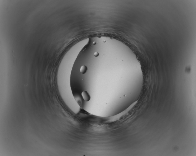 X0000091920708200709261642