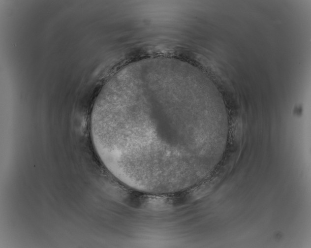 X0000091920709200709261642