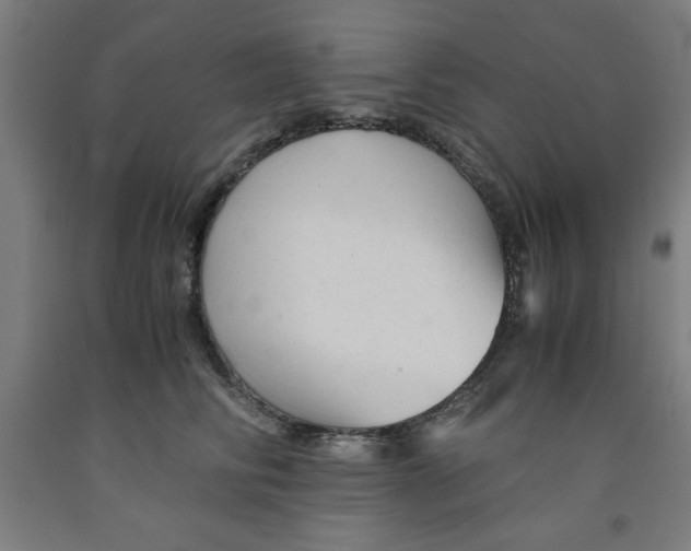 X0000091920710200709261642