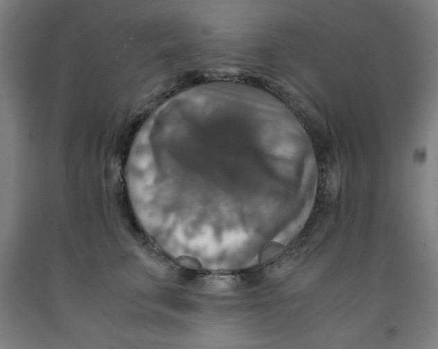 X0000091920711200709261642