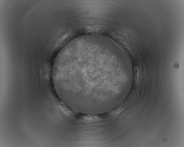 X0000091920712200709261642