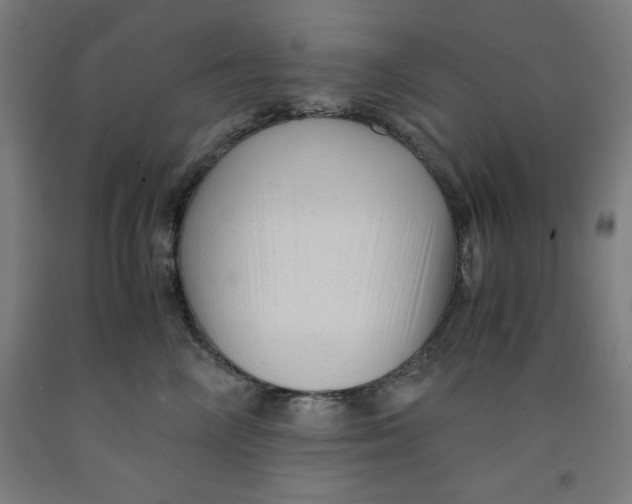 X0000091920714200709261642