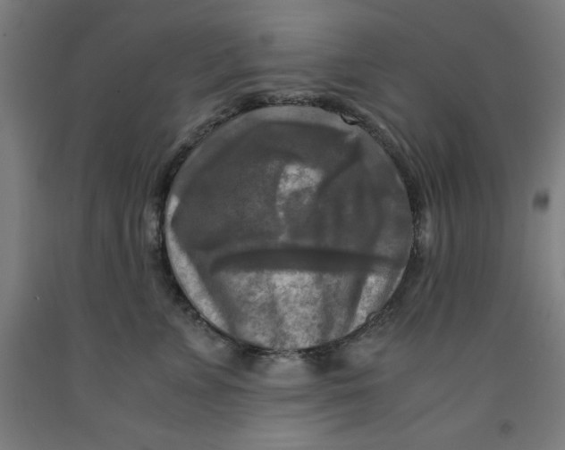 X0000091920715200709261642