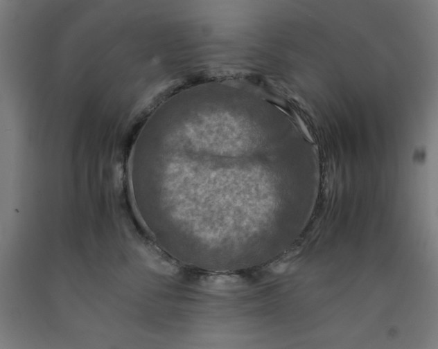 X0000091920716200709261642