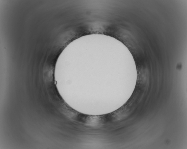 X0000091920717200709261642