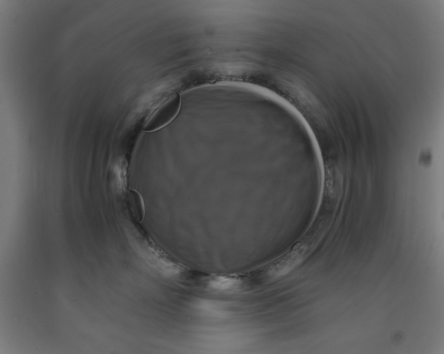 X0000091920718200709261642