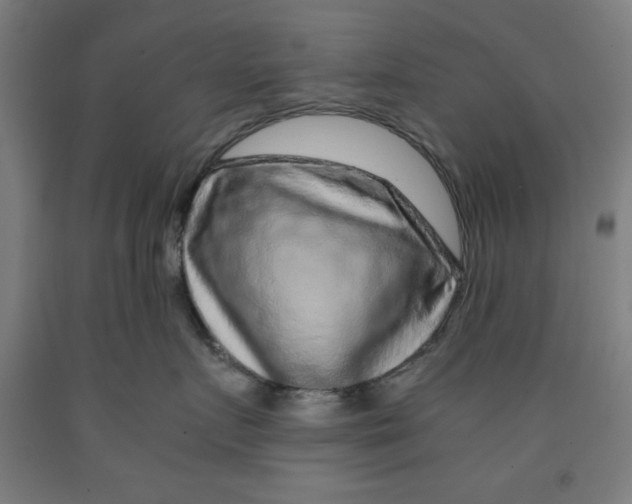 X0000091920719200709261642