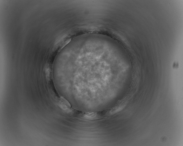 X0000091920720200709261642