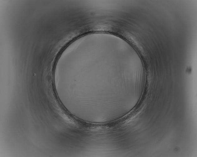 X0000091920721200709261642