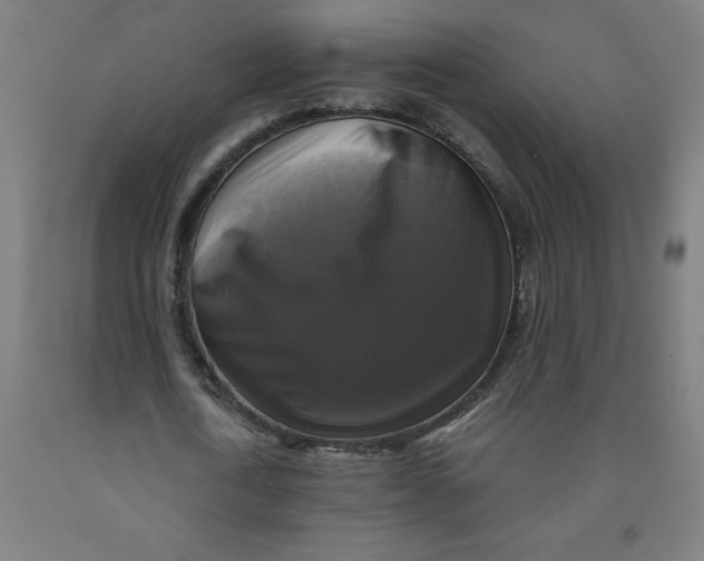 X0000091920722200709261642