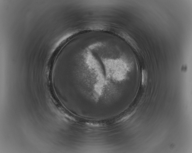 X0000091920723200709261642