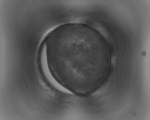 X0000091920724200709261642