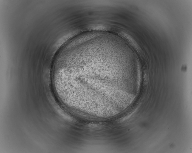 X0000091920725200709261642