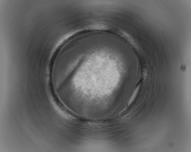 X0000091920726200709261642