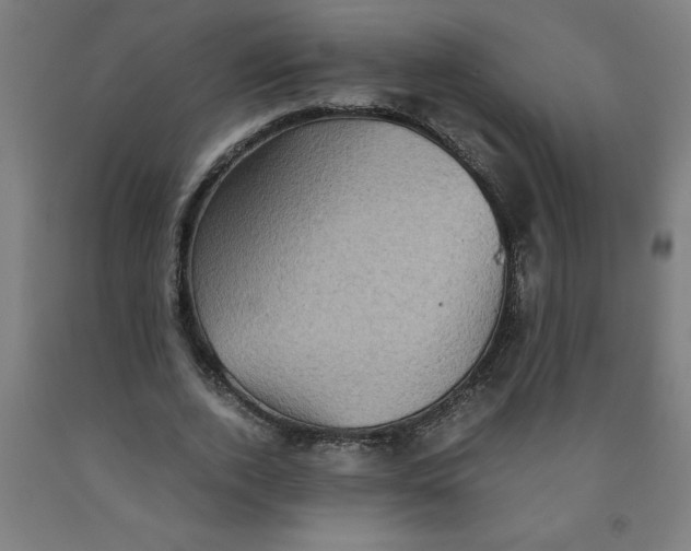 X0000091920728200709261642