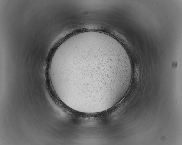 X0000091920730200709261642