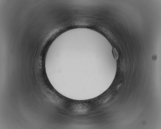 X0000091920731200709261642