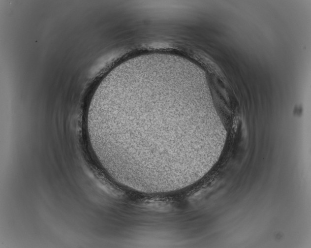 X0000091920732200709261642