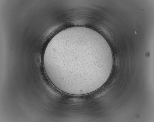 X0000091920733200709261642