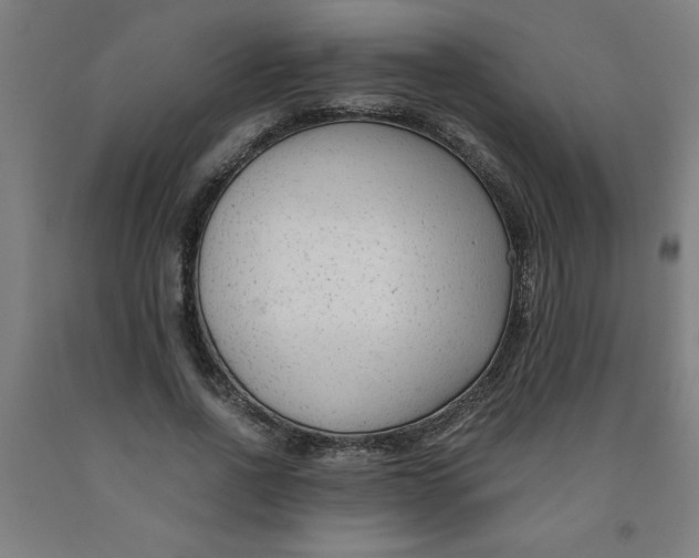 X0000091920734200709261642