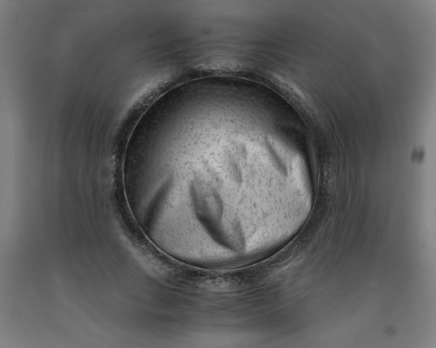 X0000091920735200709261642