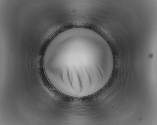 X0000091920738200709261642