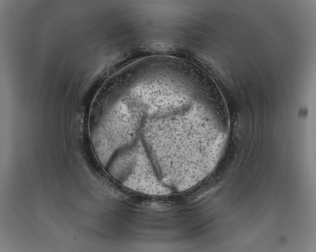 X0000091920739200709261642