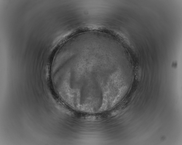 X0000091920740200709261642