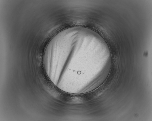 X0000091920741200709261642