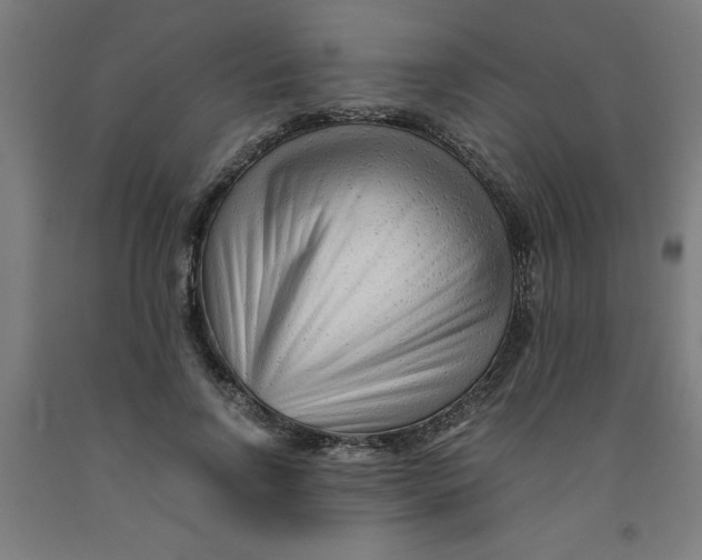 X0000091920742200709261642