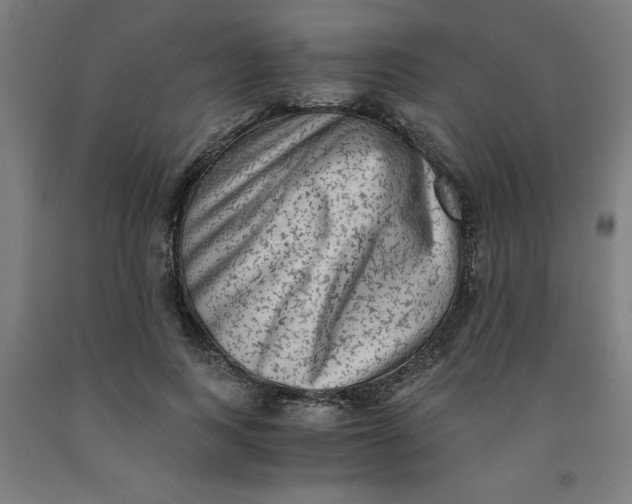 X0000091920743200709261642