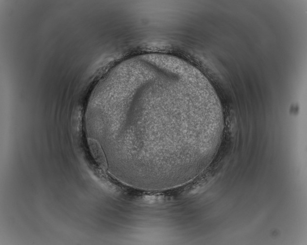 X0000091920744200709261642