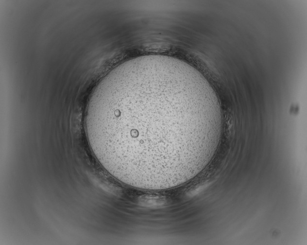 X0000091920745200709261642