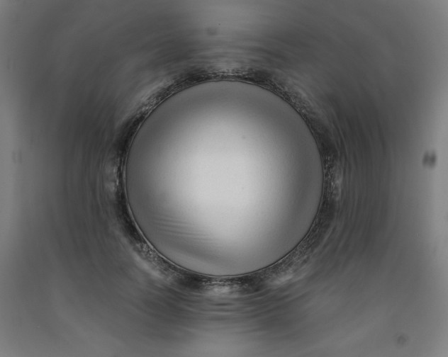 X0000091920746200709261642