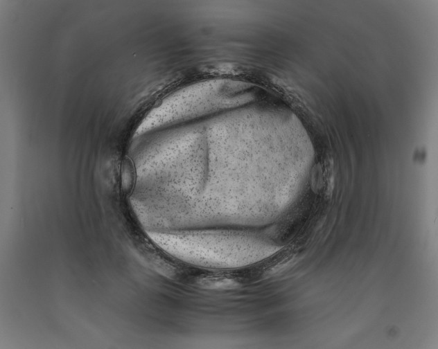 X0000091920747200709261642