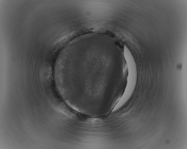 X0000091920748200709261642