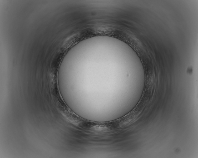 X0000091920749200709261642