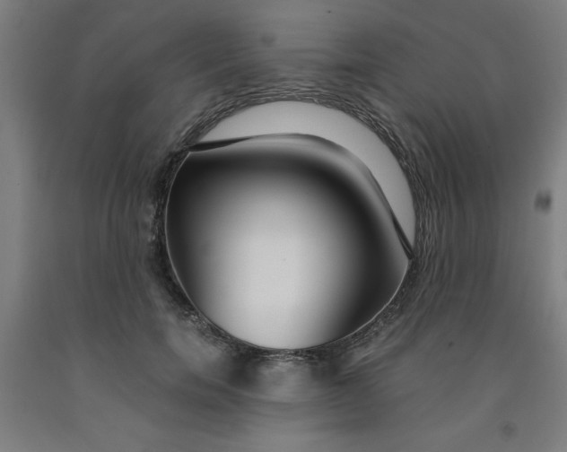 X0000091920750200709261642