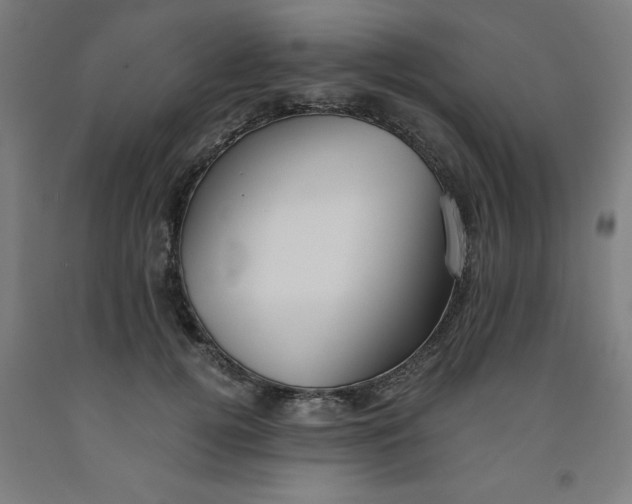 X0000091920752200709261642