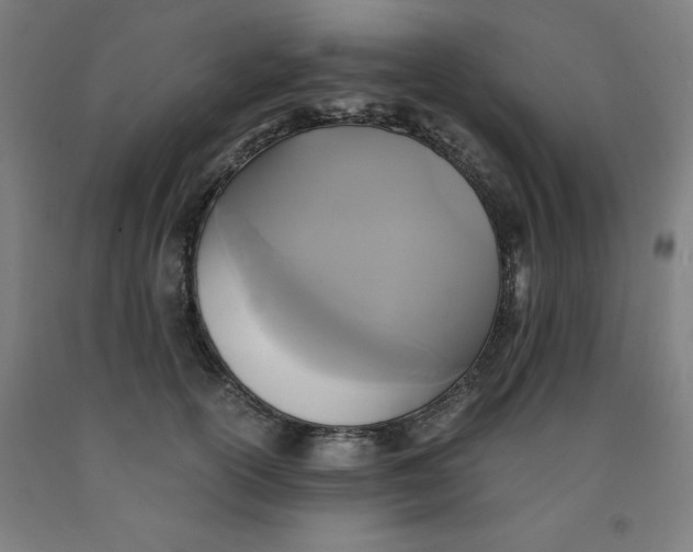 X0000091920754200709261642