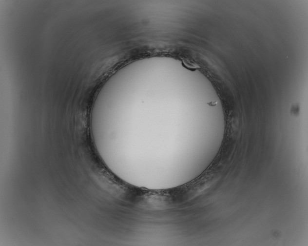 X0000091920756200709261642