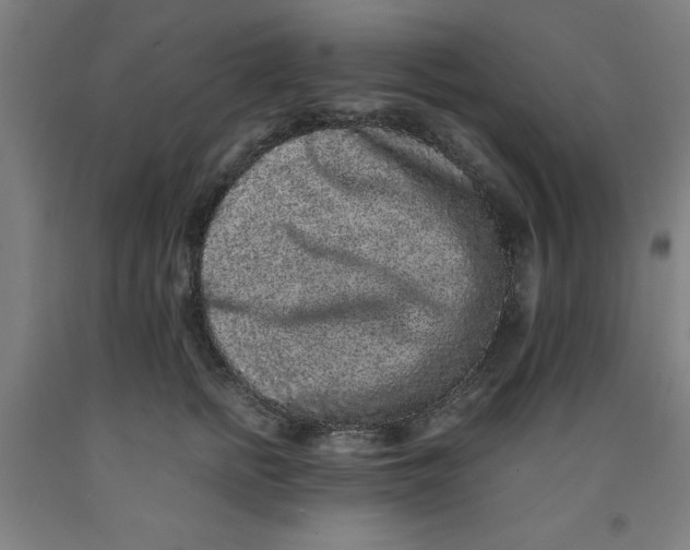 X0000091920758200709261642