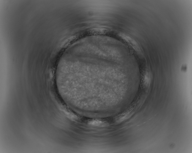 X0000091920759200709261642