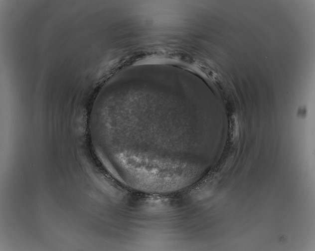 X0000091920760200709261642