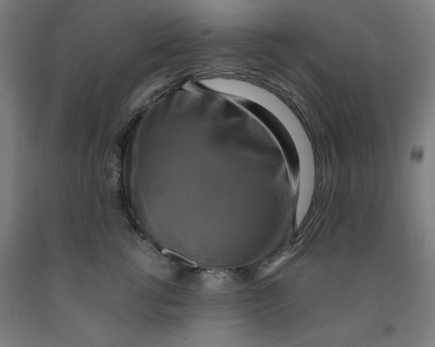 X0000091920762200709261642