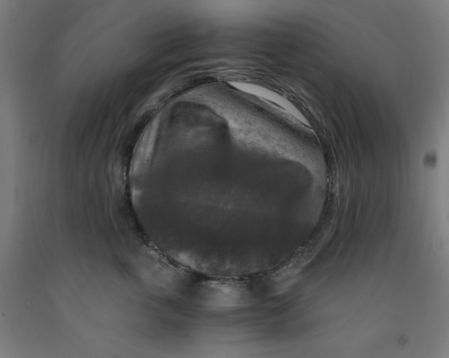 X0000091920763200709261642