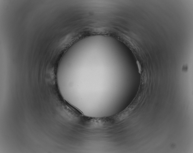 X0000091920764200709261642